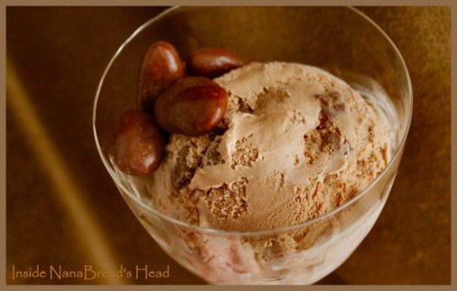 Chocolate Amaretto Pecan Ice Cream - CloseUp