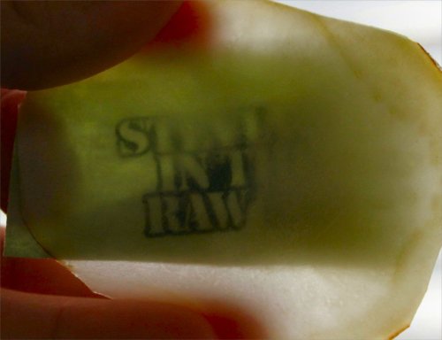 OXO Mandoline - Thin Enough To Read Through It - Inside NanaBread's Head