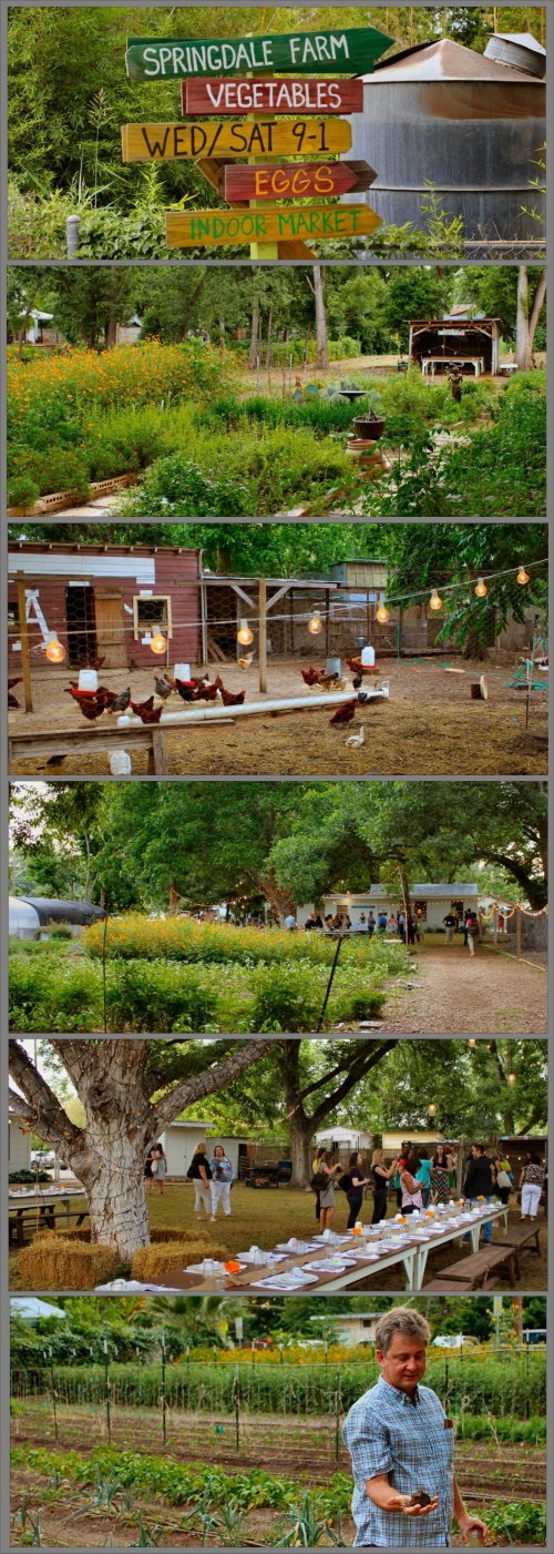 Springdale Farms in Austin, Texas - farm, produce stand & Eden East restaurant