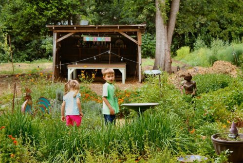 Jonah & Lilly - walking the herb garden at Springdale Farm