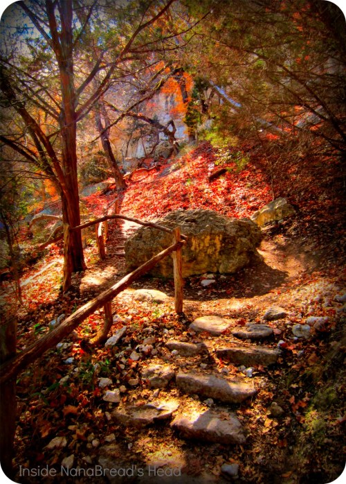 Lost Maples - Steps on Maple Loop