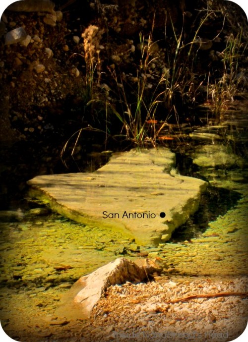 Lost Maples - Texas Rock