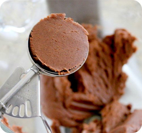 Dark Chocolate Dreams PB Cookie Dough - Perfect Scoop