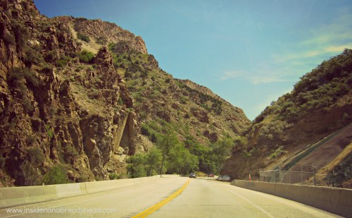 Ogden Canyon Drive