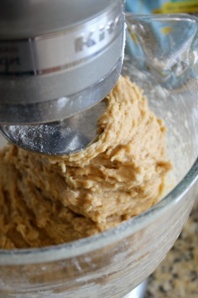 Dough is ready! - PB Swirl Bread