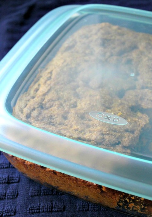 OXO Bakeware - Square with SnapOn Lid - INBHblog